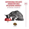 Sucha karma dla kota Royal Canin Exigent Fussy 2 kg