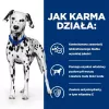 HILL'S PRESCRIPTION DIET Urinary Care Canine u/d Sucha karma dla psów 10 kg