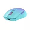 Bezprzewodowa mysz Tellur Silent Click TLL491331 USB
