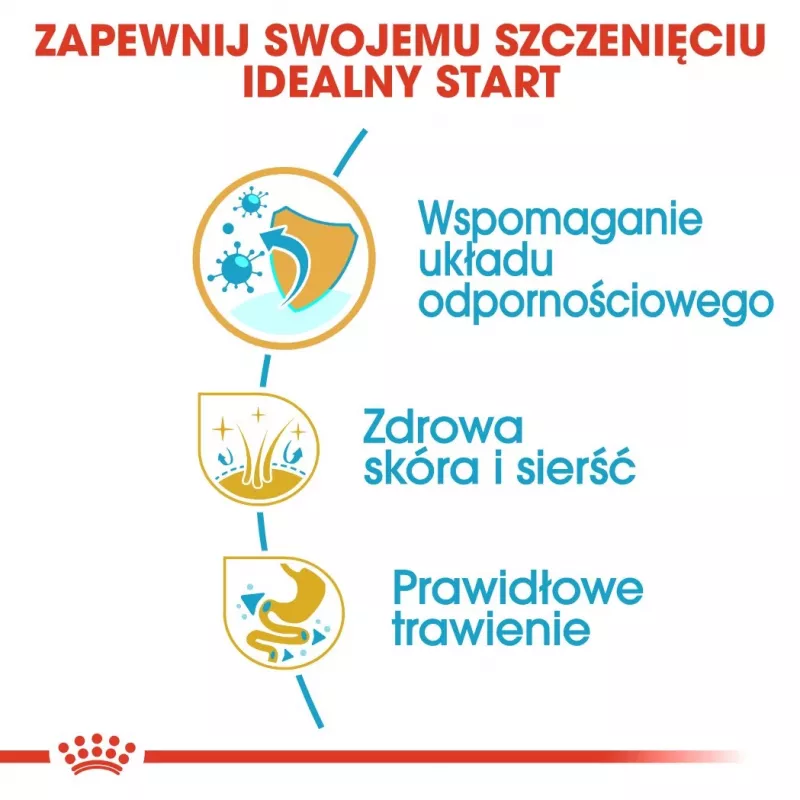 Royal Canin Golden Retriever Puppy sucha karma dla psów, 12 kg