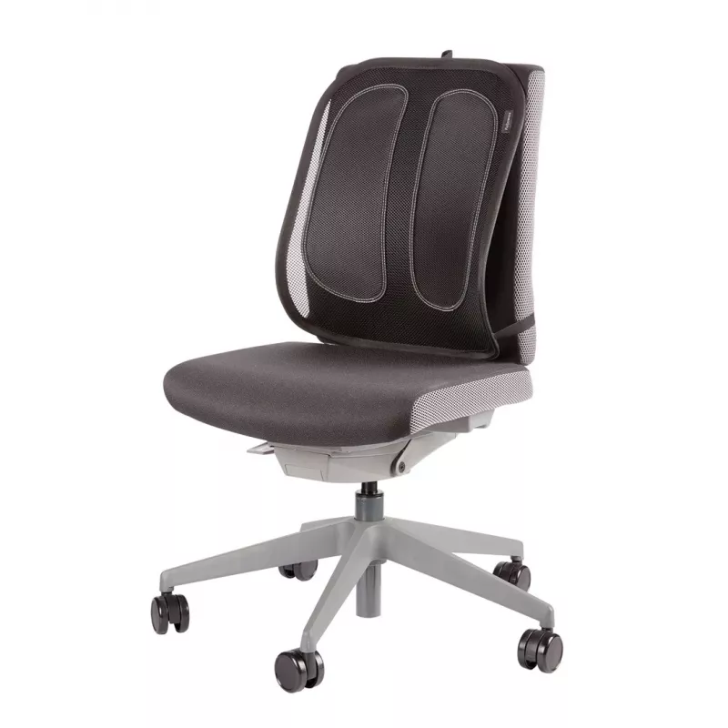 Podparcie lędźwiowe Fellowes do krzesła biurowego - siatkowe podparcie pleców Office Suites z tkaniny siatkowej - Wys.51,28 x Szer.43,97 x Gł.14,13 cm