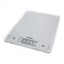 Leifheit 61504 Srebrny