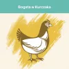 Sucha karma dla kota Purina Cat Chow Hairball Control 1.5 kg — Dorosły, Kurczak, 32% Białka, 11% Tłuszczu