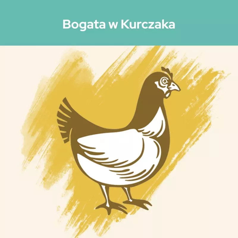 Sucha karma dla kota Purina Cat Chow Hairball Control 1.5 kg — Dorosły, Kurczak, 32% Białka, 11% Tłuszczu