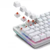 Mechanical Switches GLORIOUS Fox Heavy 5-pin linear MX-stem 55g pre-lubed — 110 pcs