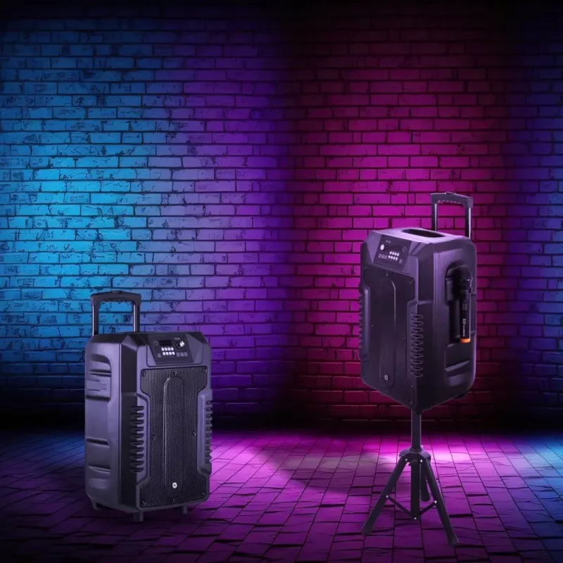Głośniki Manta SPK1203B100 100W