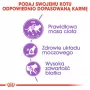 Sucha karma dla kota Royal Canin Sterilised 2 kg — dorosłe koty po sterylizacji, kurczak, 37% białka