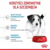Sucha karma dla psa Royal Canin Mini Puppy 2 kg — rasy małe, kurczak, 31% białka