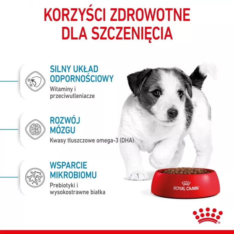 Sucha karma dla psa Royal Canin Mini Puppy 2 kg — rasy małe, kurczak, 31% białka