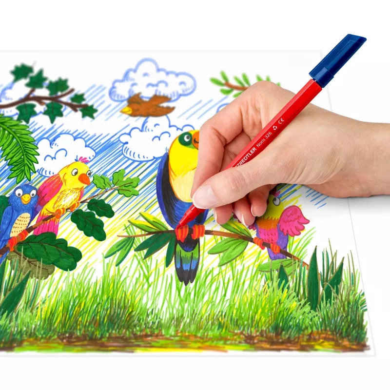 Pisaki cienkopisowe Staedtler 326 C10 E1, ultracienka końcówka 1 mm, różne kolory, zestaw 10 sztuk