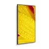 NEC MultiSync M651-2 Kiosk design 165,1 cm (65 cali) LED 500 cd/m² 4K Ultra HD Czarny Wbudowany procesor