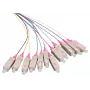 LOGON LFP035 Kabel InfiniBand/światłowodowy 2 m 12x SC Wielokolorowy (LFP035)