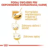 ROYAL CANIN Jack Russell Adult sucha karma dla psa - 1.5 kg