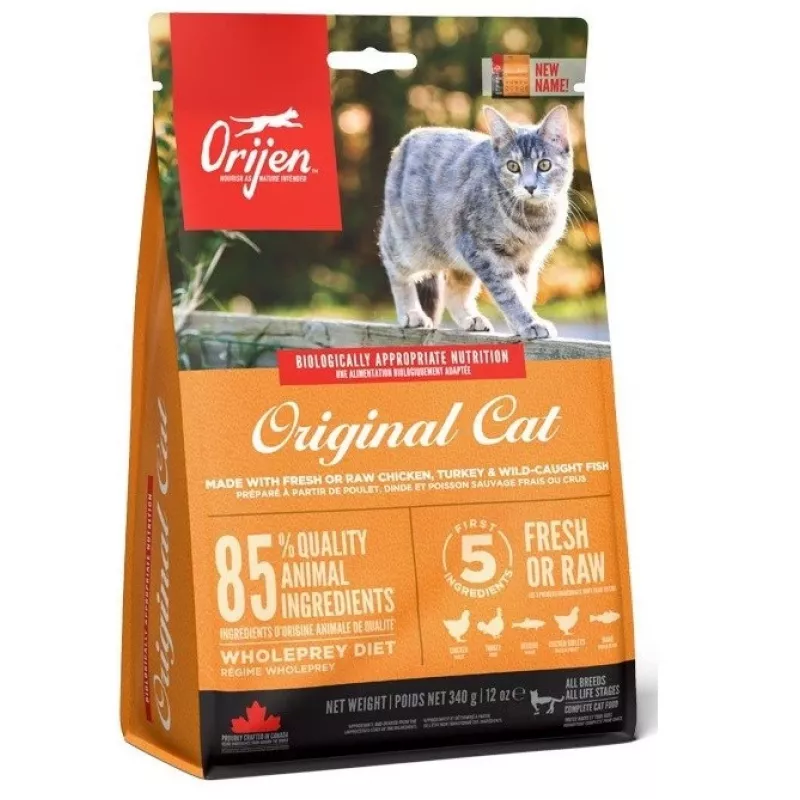 Orijen Cat & Kitten karma sucha dla kotów Chicken, Fish, Turkey 340 g
