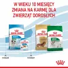 Sucha karma dla psa Royal Canin Mini Puppy 2 kg — rasy małe, kurczak, 31% białka