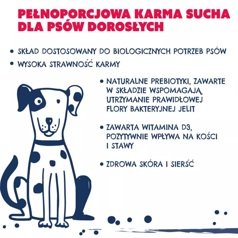 TEO Bogata w wołowinę - sucha karma dla psa - 15kg