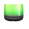 Mono Portable Speaker Denver BTL-311 Multicolour