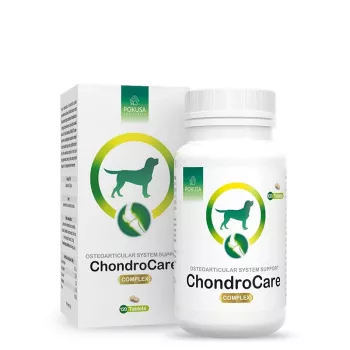 POKUSA ChondroCare Complex - suplementy dla psów - 120 szt.