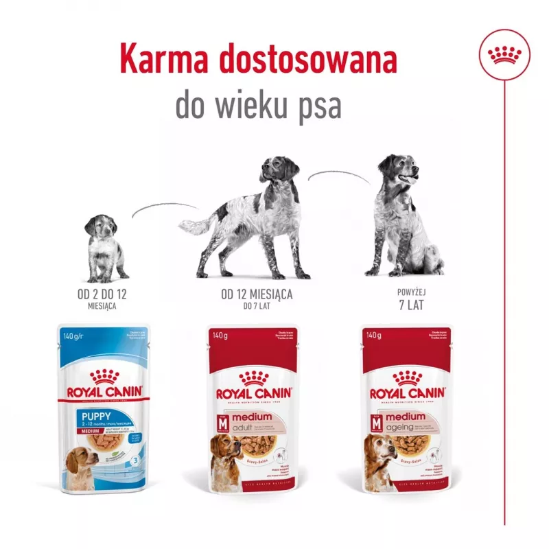 ROYAL CANIN SHN Medium Adult w sosie - mokra karma dla dorosłych psów - 10x140g