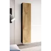 Cama zestaw mebli do salonu VIGO 1 czarny/dąb wotan
