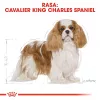 Sucha karma dla psa Royal Canin Cavalier King Charles Adult 1,5 kg — kurczak, mała rasa, skóra i sierść, wsparcie serca