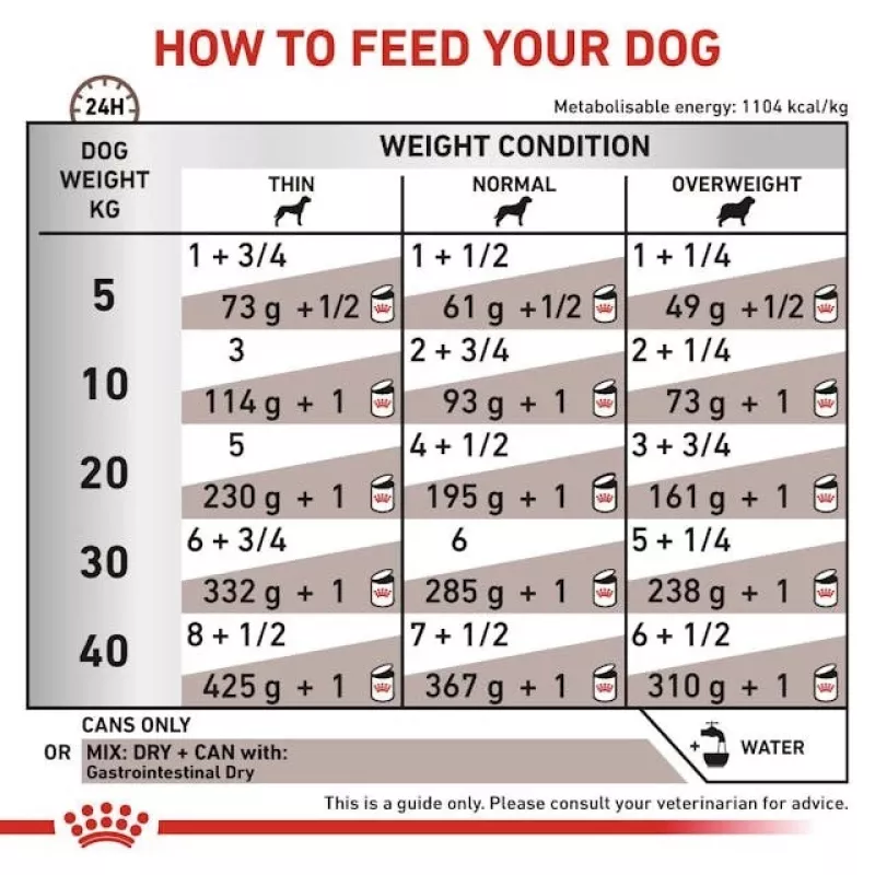 Mokra karma weterynaryjna Royal Canin Gastro Intestinal 200 g — psy dorosłe, drób, wsparcie trawienne