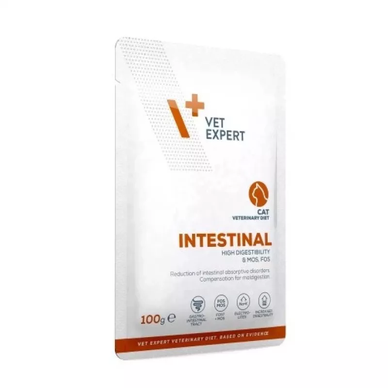 VetExpert Veterinary Diet Intestinal mokra karma dla kotów 100 g