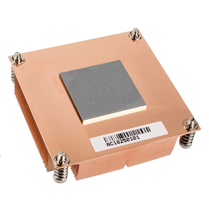 Silverstone SST-XE01-2011 Serwer