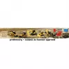 Carrera RC - CAT Micro - Kalendarz adwentowy 37085970 (37085970)