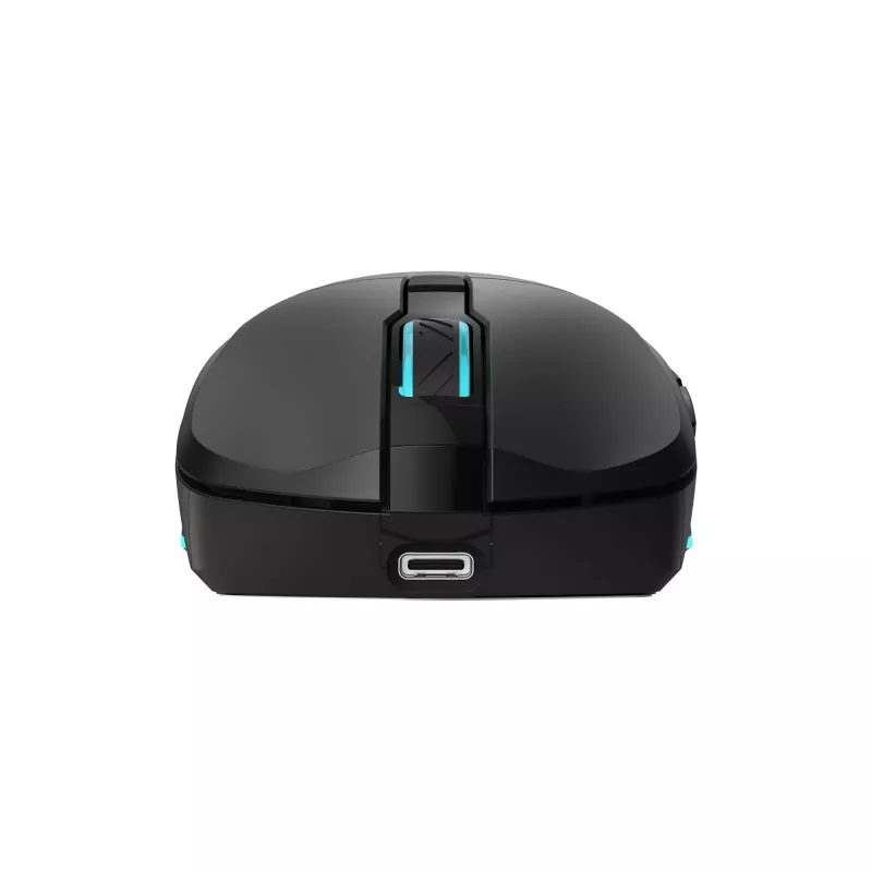 Mysz Baracuda BGM-121 Turtle Czarna USB
