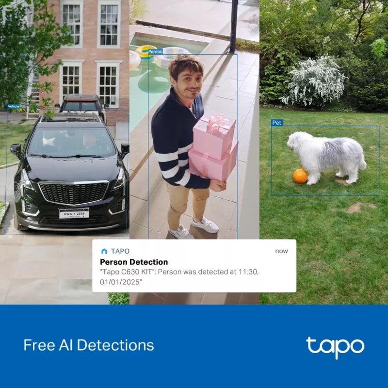 Kamera bezpieczeństwa TP-LINK Tapo C630 KIT Zasilana energią słoneczną Pan/Tilt