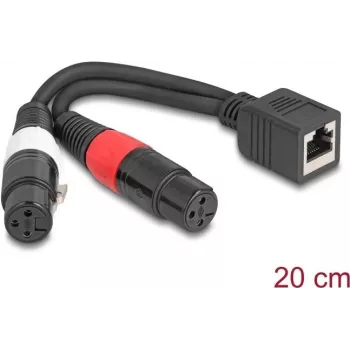 DeLOCK 88178 kabel audio 0,2 m RJ-45 2 x XLR (3-pin) Czarny