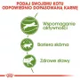 Royal Canin Outdoor sucha karma dla kota 2 kg