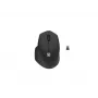 Natec Wireless mysz Siskin 2 BT 5.0 + 2.4GHZ