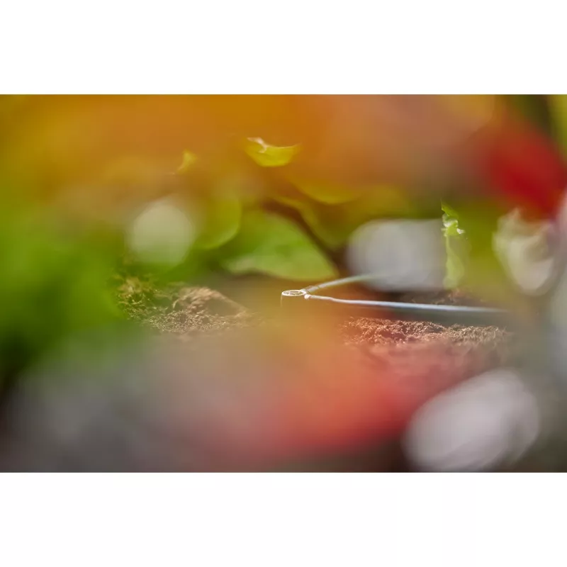 Złączka łącząca Gardena L-Joint System nawadniania kropelkowego Plastik