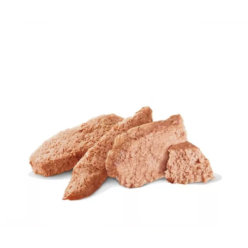 Mokra karma dla psów Royal Canin Gastrointestinal High Fibre Loaf 200 g — psy dorosłe, smak mięsny, wsparcie trawienia