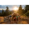 Ruffwear Front Range XS Niebieski Polyester