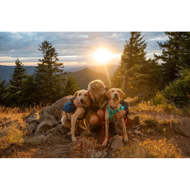 Ruffwear Front Range XS Niebieski Polyester
