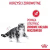 Sucha karma dla kotów Royal Canin Urinary Care Adult Poultry 10 kg — sucha karma dla dorosłych kotów, kontrola dróg moczowych, 33% białka