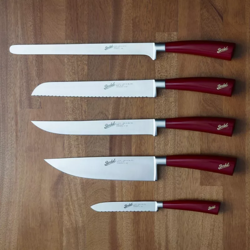 Nóż kuchenny Berkel ELEGANCE stal nierdzewna 5 szt.