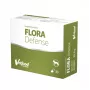 VetFood Flora Defense probiotyk dla psów i kotów 30 kapsułek