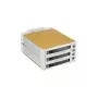 Fantec SNT-BA2131-2 - S-ATA 2x 13,30cm (5,25) for 3x1 HDD beige (2007)