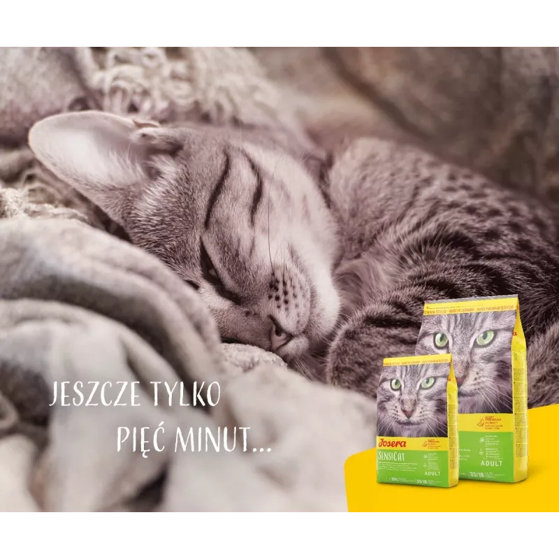 Josera SensiCat sucha karma dla kotów 2 kg Adult Liver
