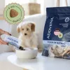 ADDVENA Power of Nature Junior Small Lamb - sucha karma dla psa - 2,5 kg