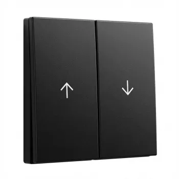Przyciski 2-krotne ze strzałkami Gira System 55, model 3294005, czarny