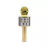 Mikrofon MANTA MIC10-G Gold kardioidalny przenośny — kardioidalny pojemnościowy, ręczny