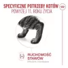 Mokra karma dla kota Royal Canin FHN Ageing 11+ Gravy 12×85 g – kompletne mokre tacki dla seniorów