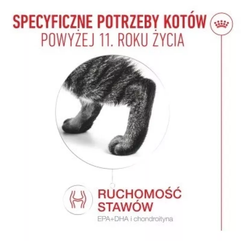 Mokra karma dla kota Royal Canin FHN Ageing 11+ Gravy 12×85 g – kompletne mokre tacki dla seniorów