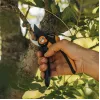 Fiskars Plus SmartFit P541 Nożyce ogrodowe obejściowe czarne, pomarańczowe