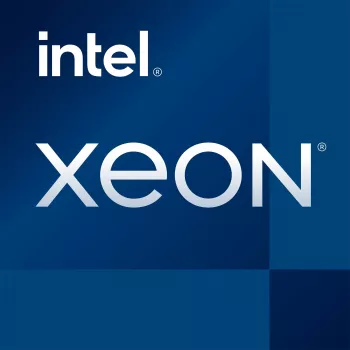 Procesor do serwerów/stacji roboczych INTEL Xeon E-2378 LGA 1200, 8 rdzeni/16 wątków, 2,6–4,8 GHz, 16 MB Smart Cache, DDR4, 65 W